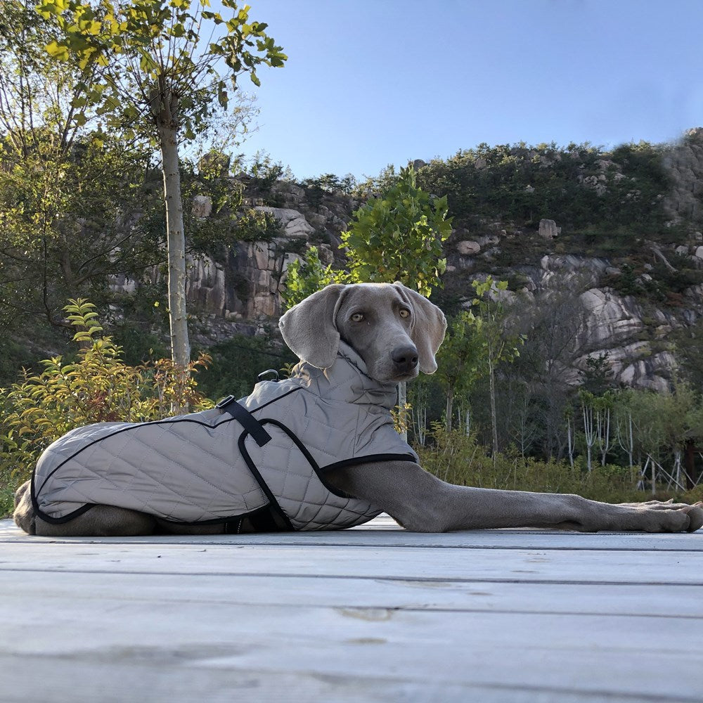 Full-Body Reflective Tactical Pet Jacket