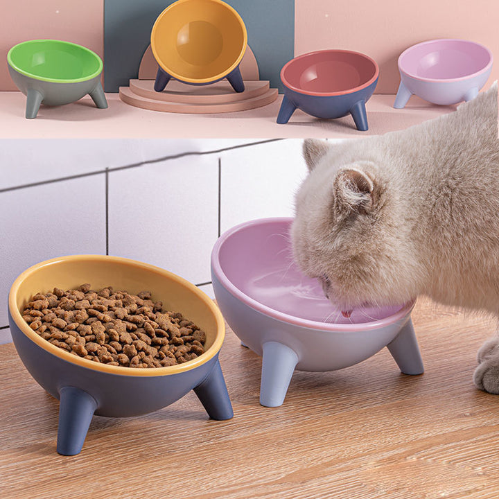 Nordic-Style Pet Feeding Bowl With Stand