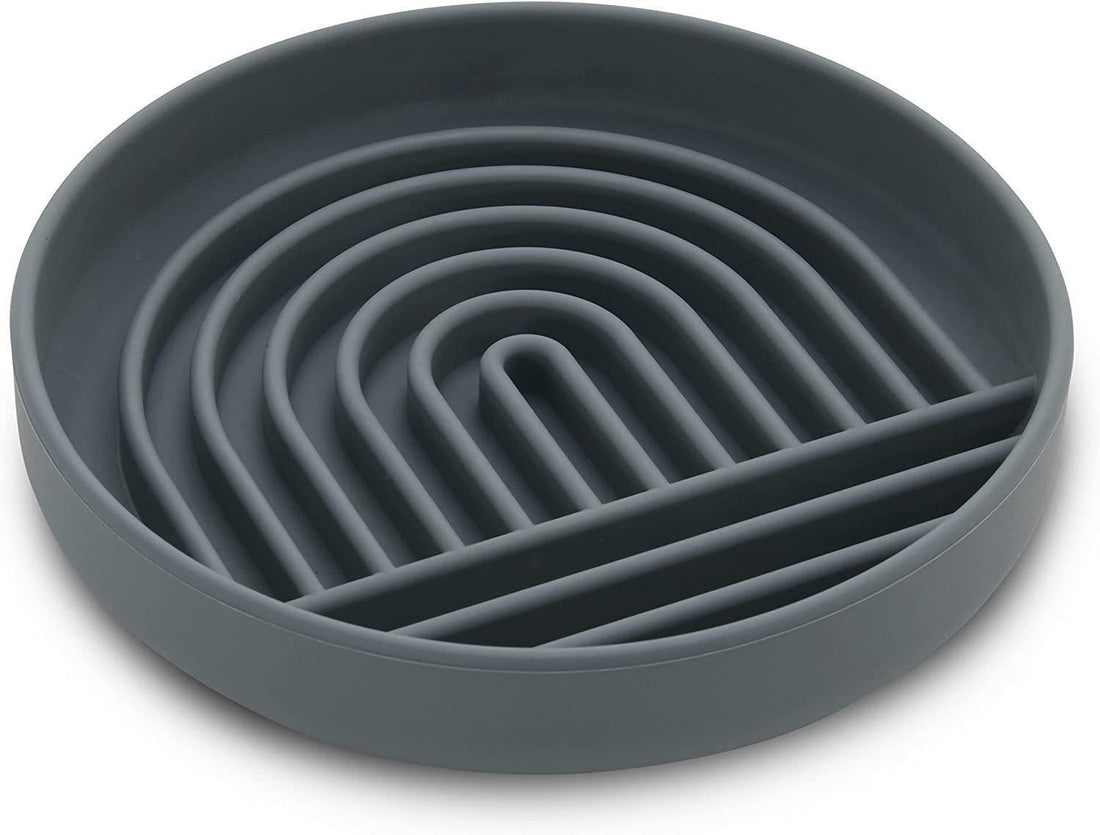 Slow Feed Fashionable Pet Food Bowl