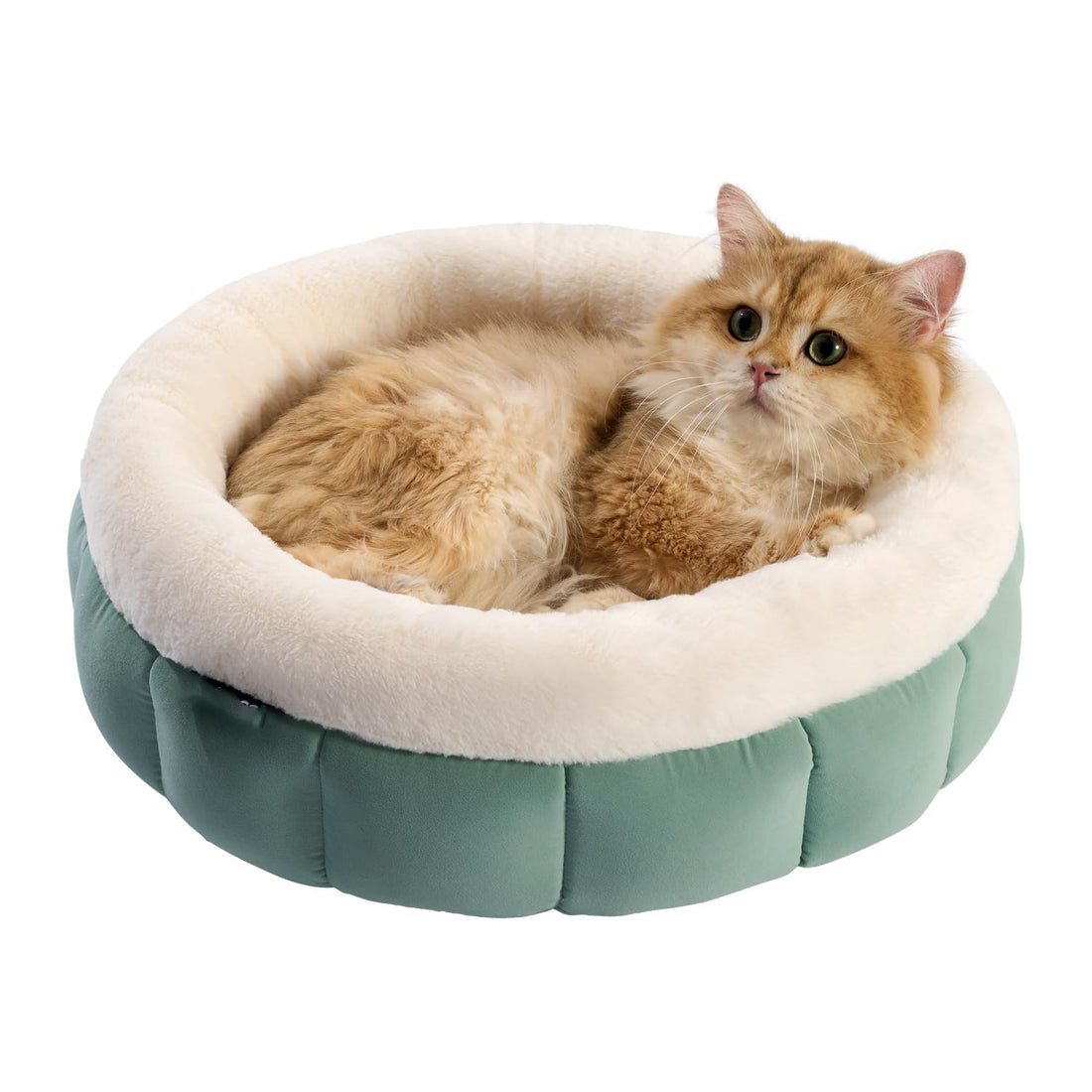 Round Donut Pet Bed Washable Anti-Slip Small Bed