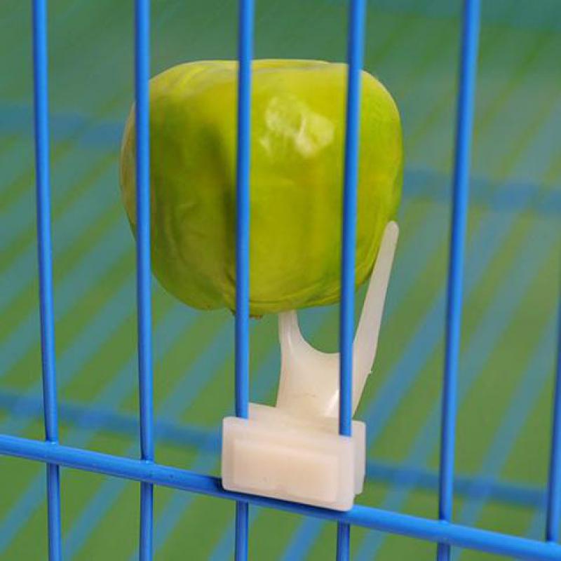 Pet Bird Fruit Feeding Fork Holder Accessory