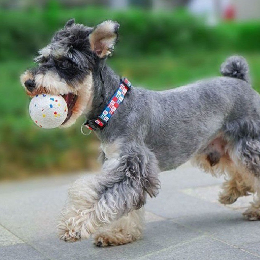 Pet Bite-Resistant Chew Relief Explosive Ball Toy
