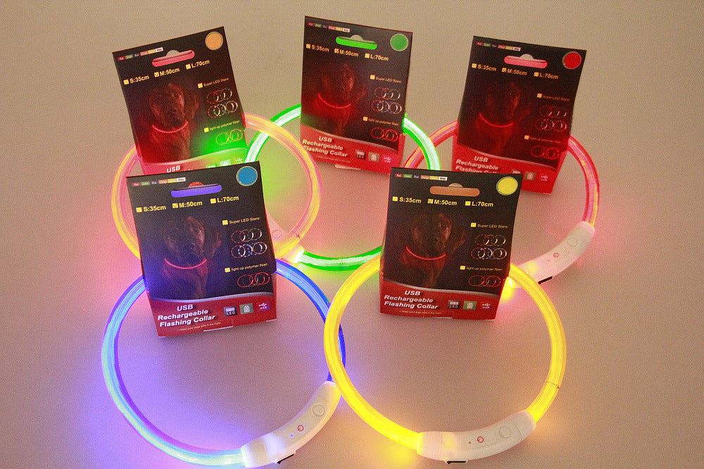 Pet USB Rechargeable LED Safety Glowing Collar
