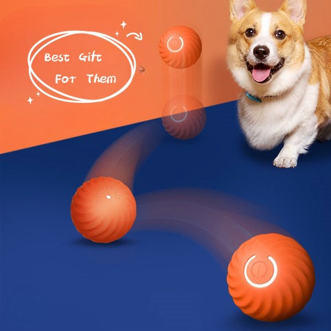 Pet Rubber Bite-Resistant Chew Ball Training Toy