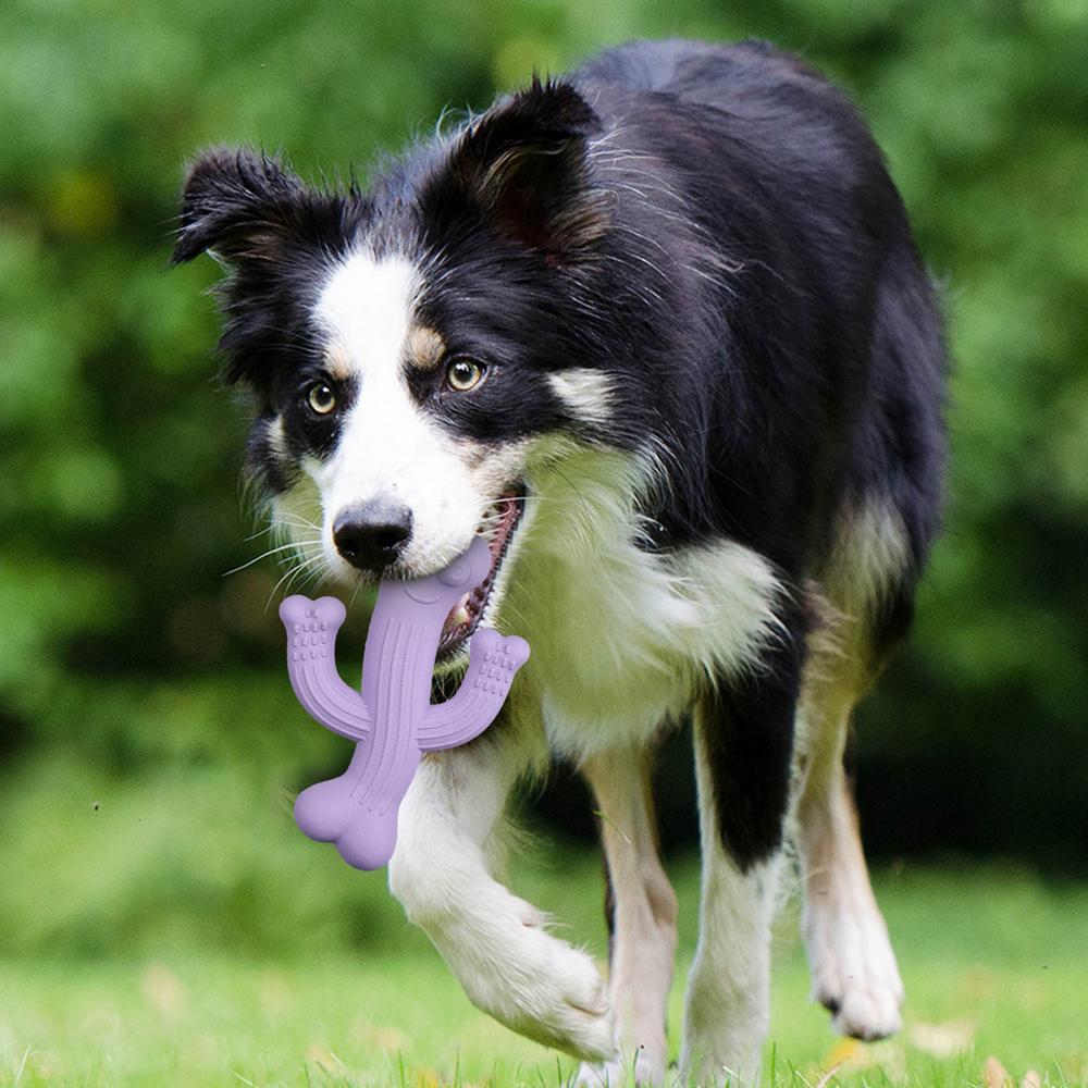 Ultra-Durable Cactus Pet Chew Toy