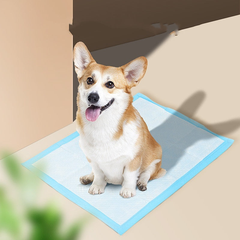 Pet Absorbent Hygiene Training Pad