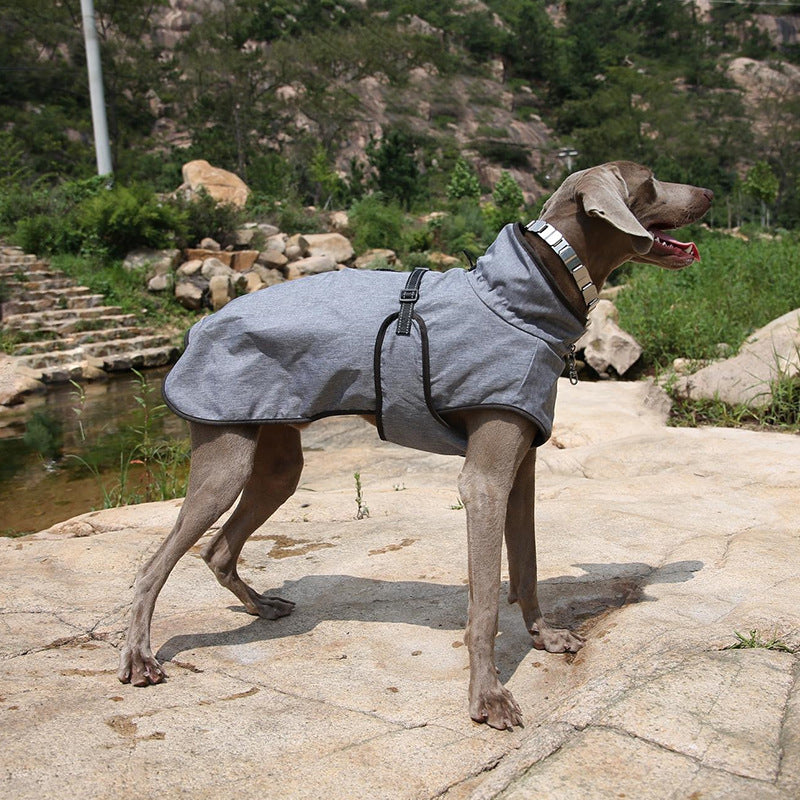 Winter Pet Shell Jacket For Outdoors