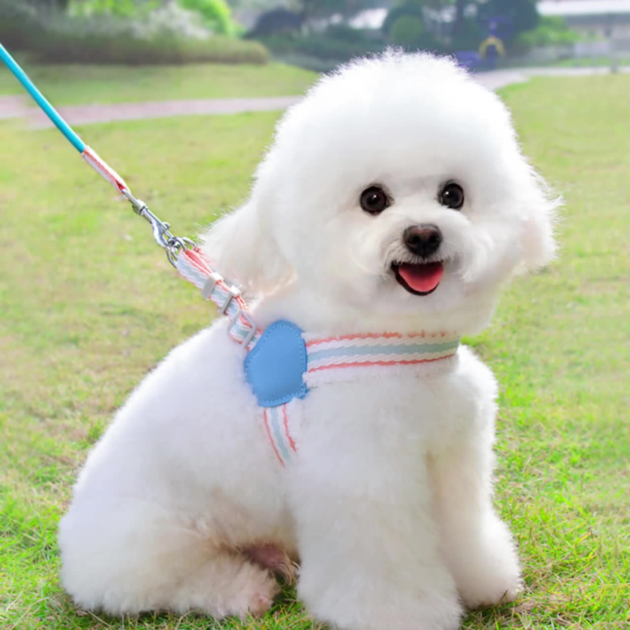 Summer Breathable Pet Chest Vest Leash Small Medium