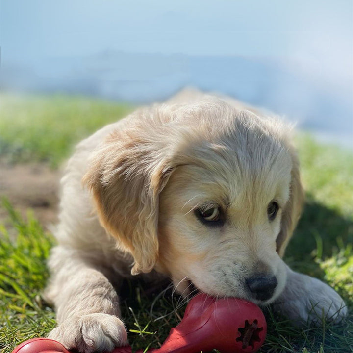 Bite-Resistant Pet Rubber Chew Toy