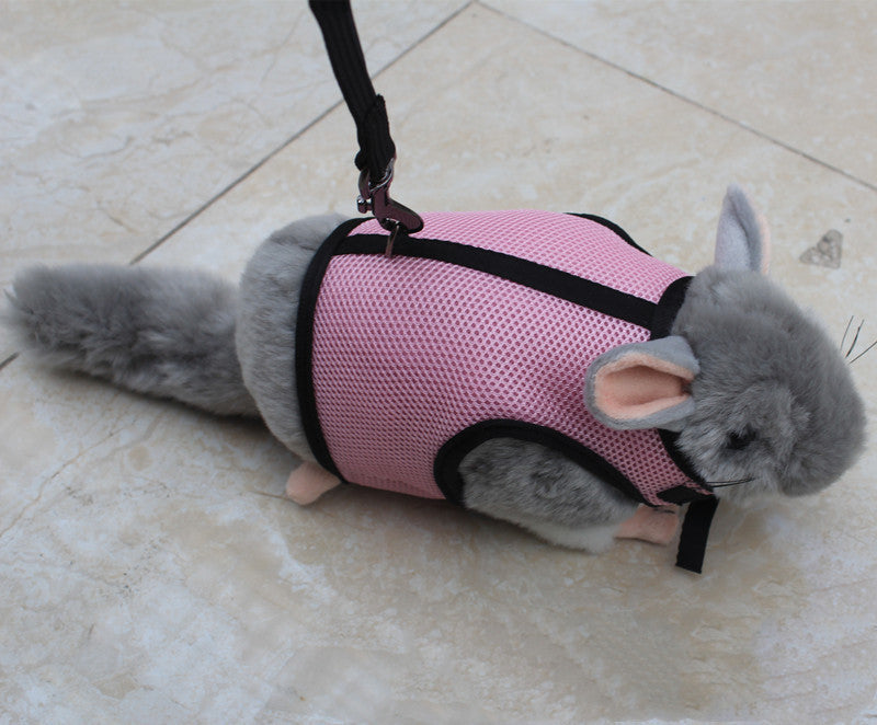 Adjustable Small Pet Leash