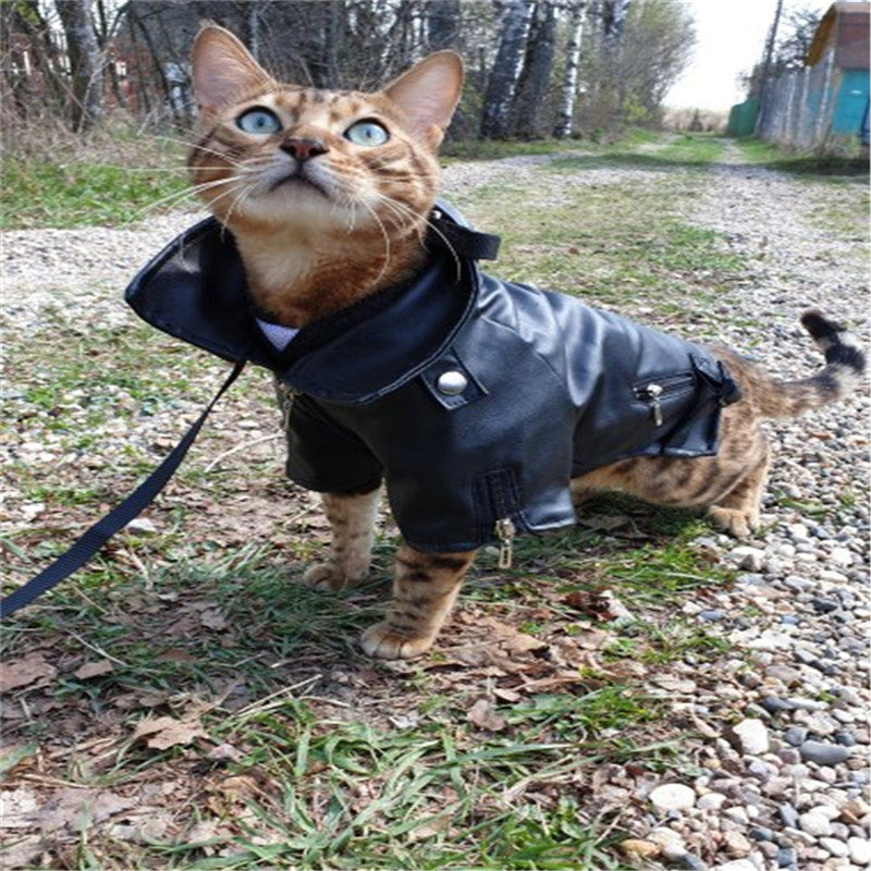 Embroidered Eagle Leather Pet Jacket