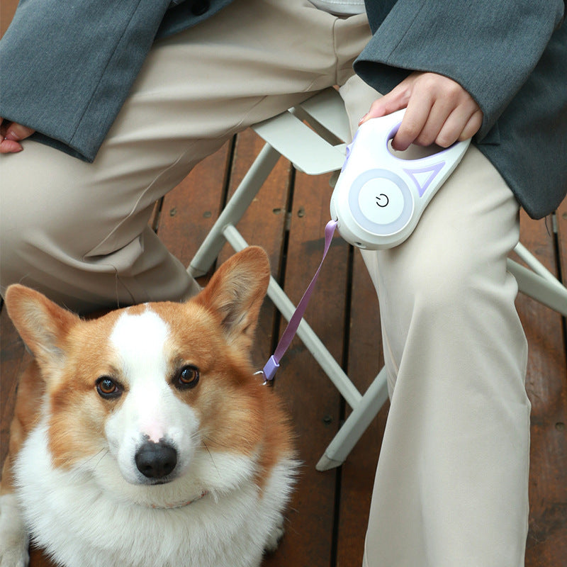 Retractable Pet Leash With Collar And LED Spotlight
