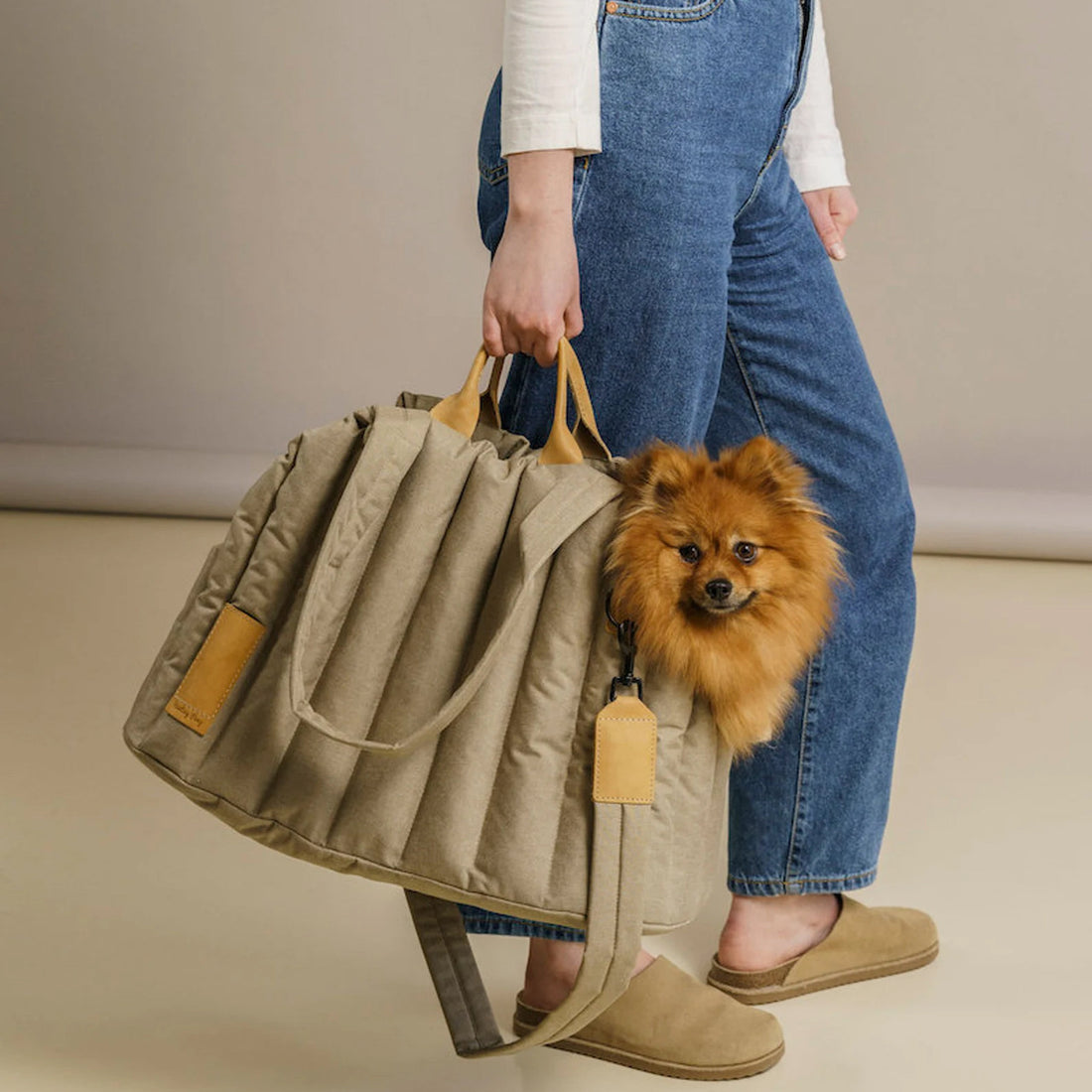 Lightweight Waterproof Portable Pet Carrier Handbag