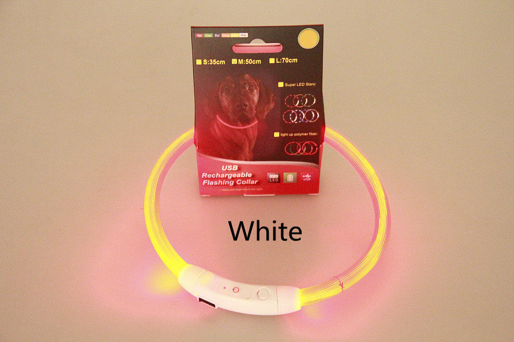 Pet USB Rechargeable LED Safety Glowing Collar