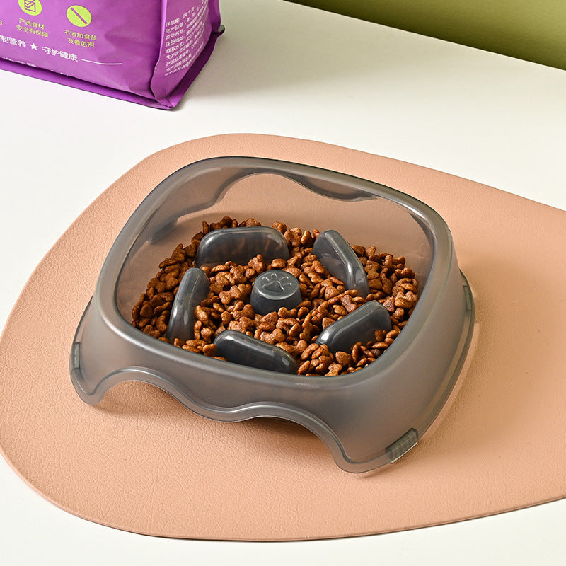 Slow Feed Anti-Choking Pet Water and Food Bowl