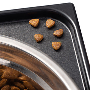 Anti-Tumble Pet Lifting Feeding Bowl With Neck Protection