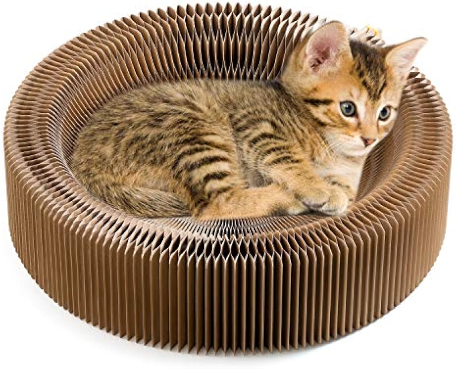 Collapsible Round Cardboard Pet Scratcher Lounge Bed