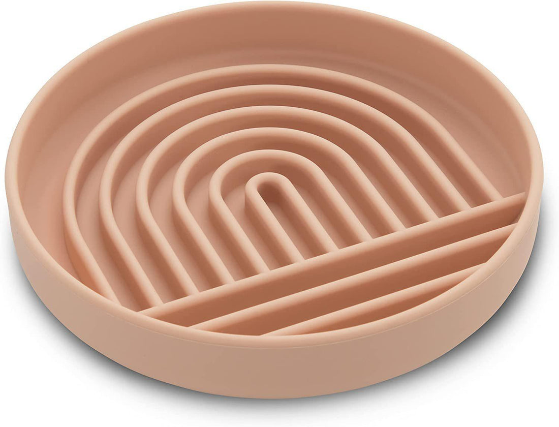 Slow Feed Fashionable Pet Food Bowl