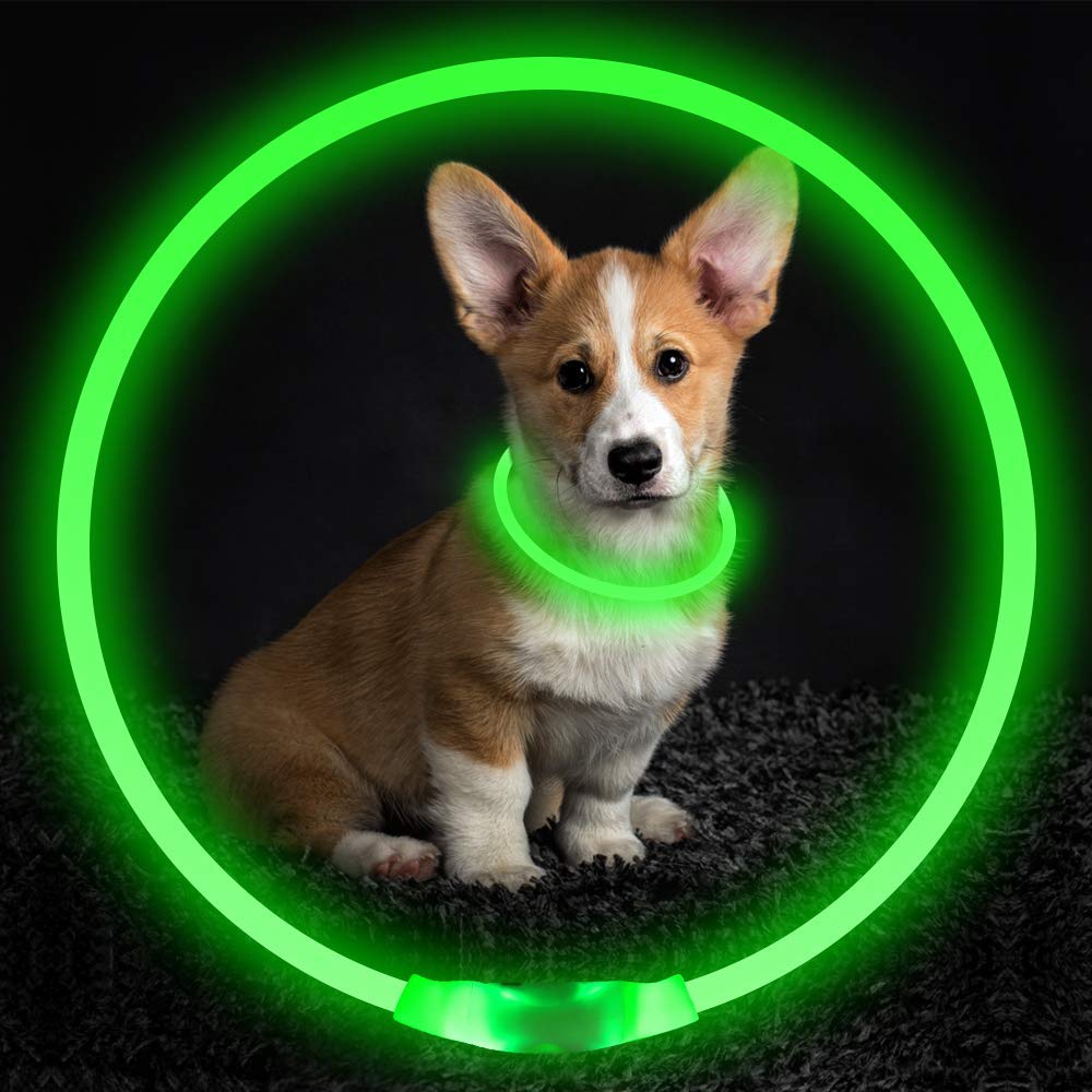 Pet USB Rechargeable LED Safety Glowing Collar