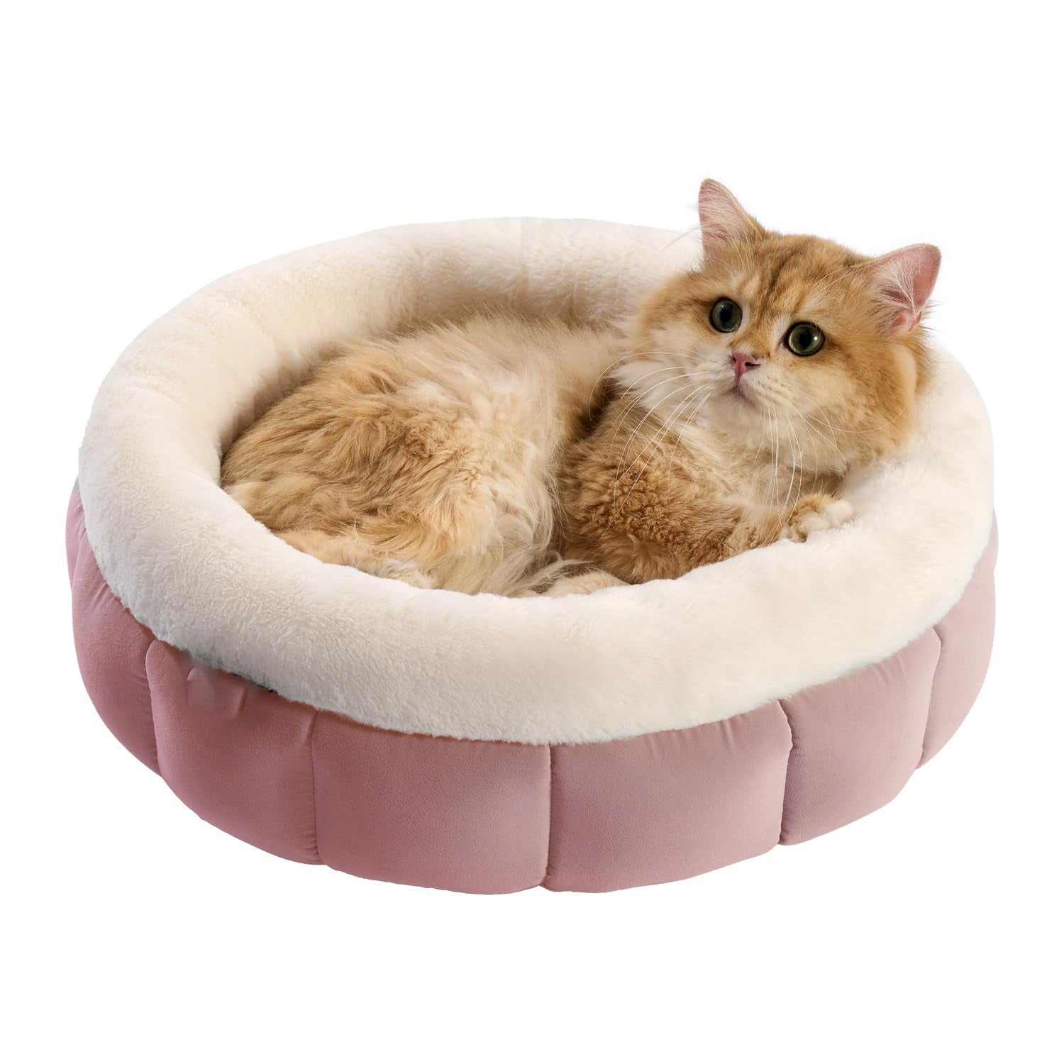 Round Donut Pet Bed Washable Anti-Slip Small Bed