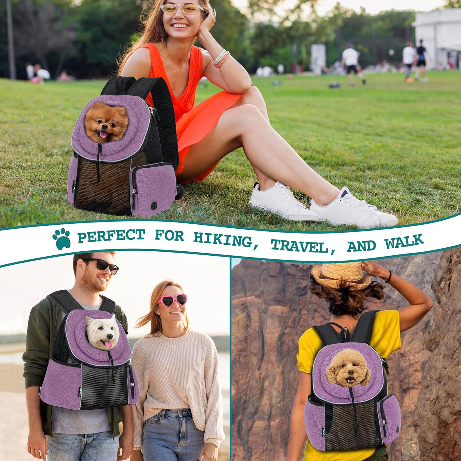 Portable Breathable Pet Travel Carrier Backpack