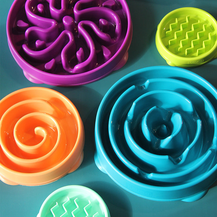 Slow-Feeding Anti-Choke Pet Bowl
