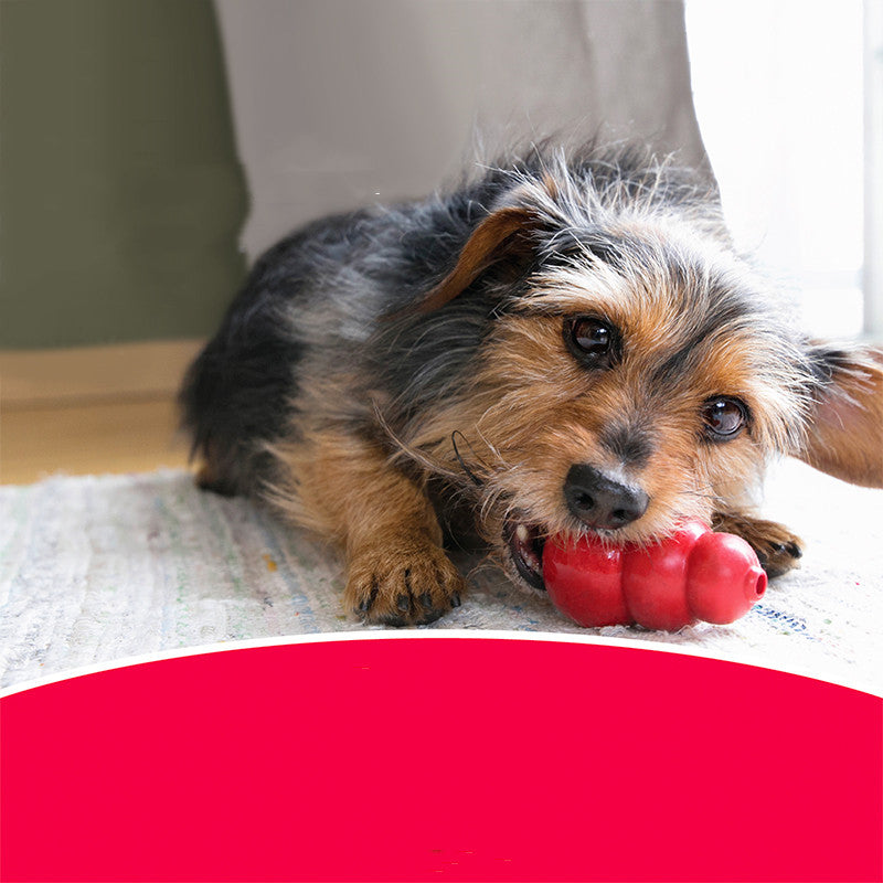 Bite-Resistant Pet Rubber Chew Toy