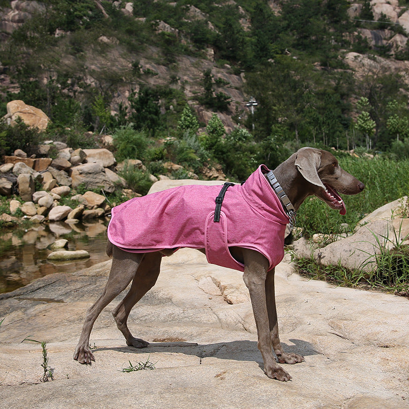 Winter Pet Shell Jacket For Outdoors