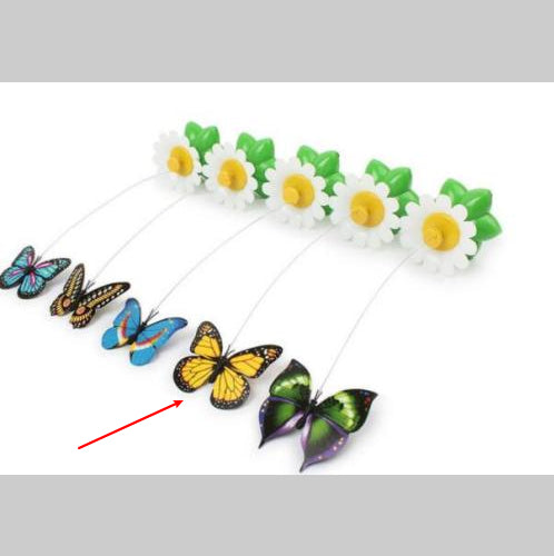 Pet Electric Automatic Rotating Flower Interactive Toy