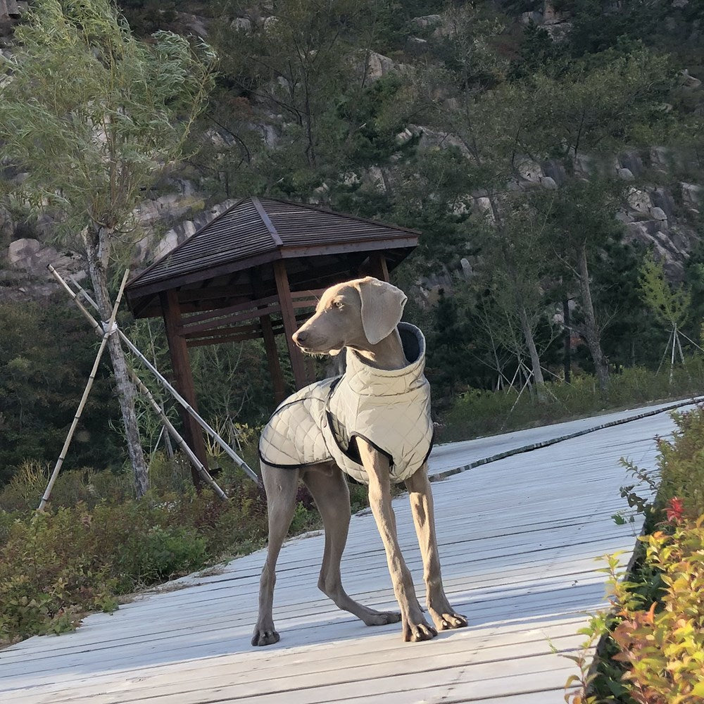 Full-Body Reflective Tactical Pet Jacket