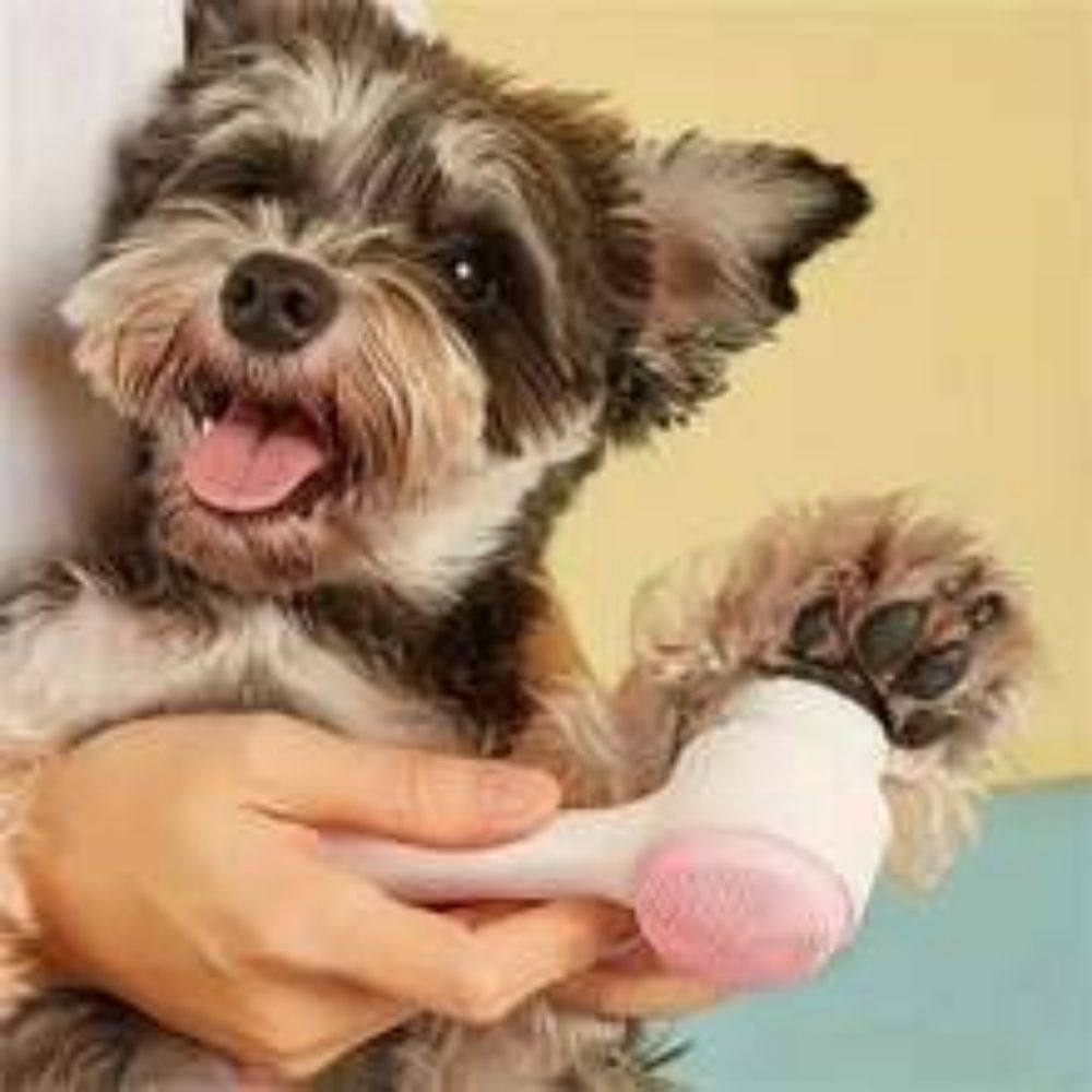 Easy-Clean Nylon Pet Paw Grooming and Massage Brush