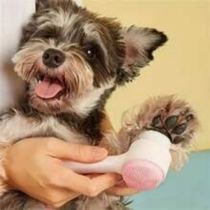 Easy-Clean Nylon Pet Paw Grooming and Massage Brush