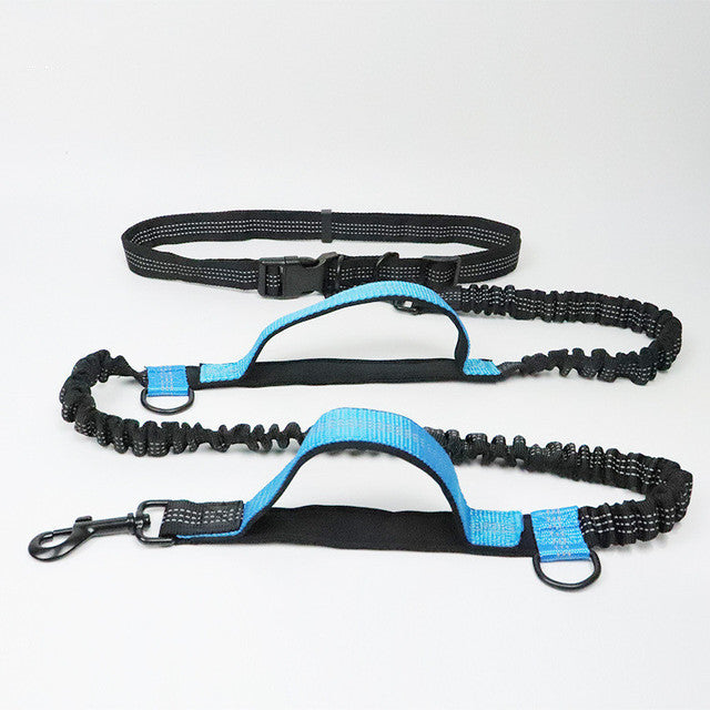 Adjustable Pet Harness and Jogging Leash