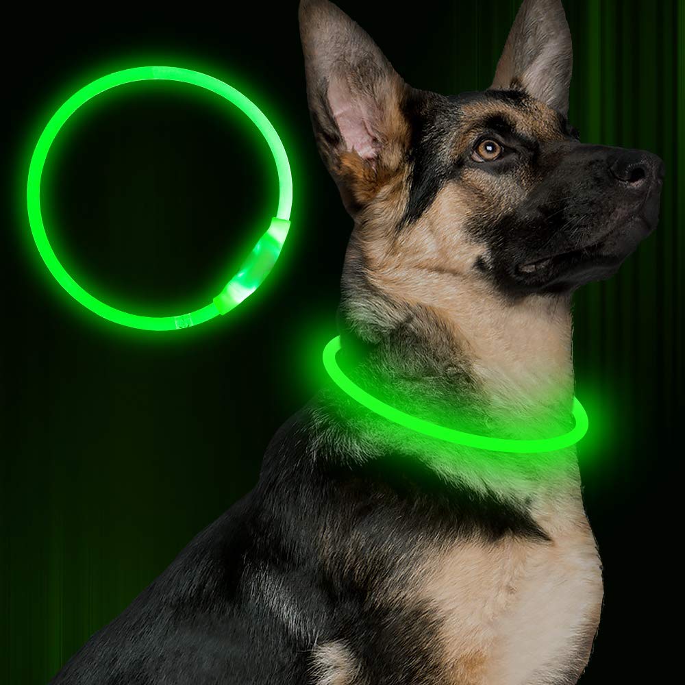 Pet USB Rechargeable LED Safety Glowing Collar