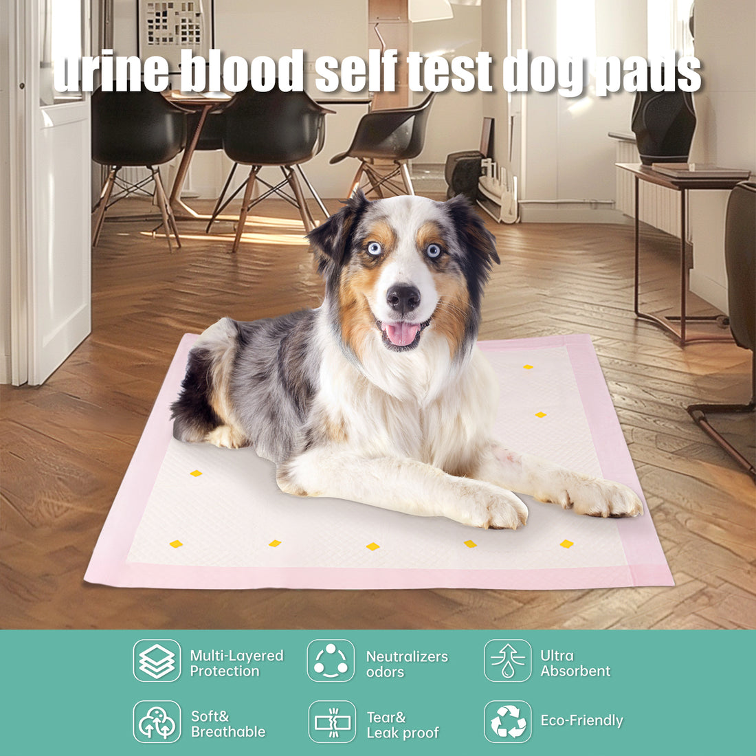 Pet Urine Detection Training Pad