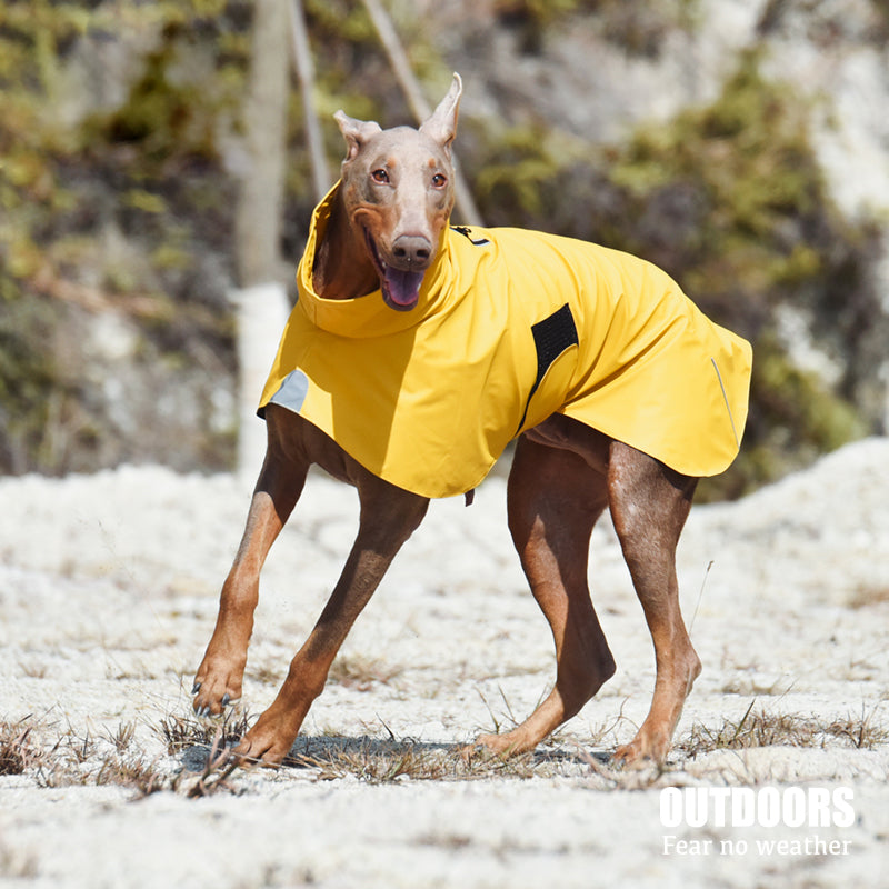 Waterproof Windproof Pet Shell Jacket