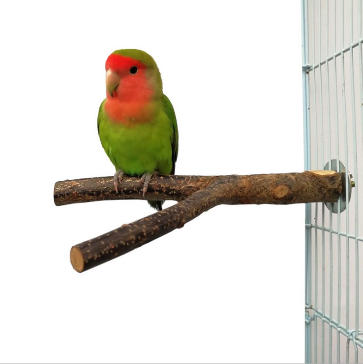 Pet Rattan Ring Bird Standing Frame Chewing Cage Toy
