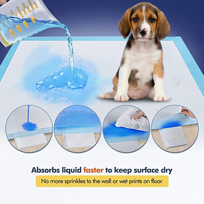 Pet Absorbent Hygiene Training Pad