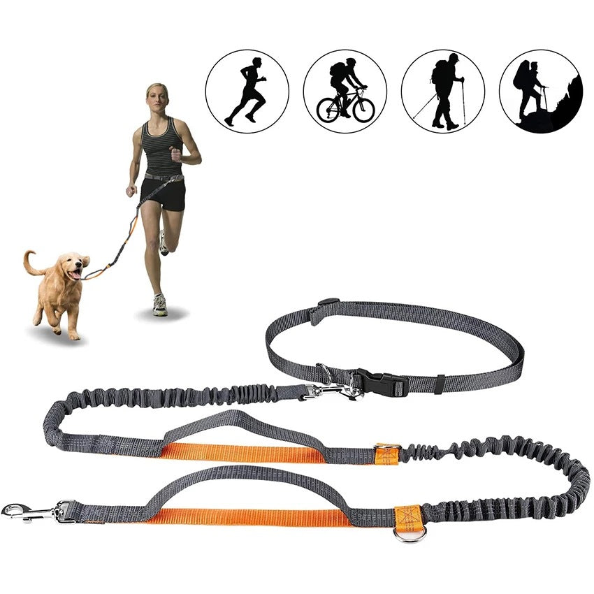 Adjustable Pet Harness and Jogging Leash