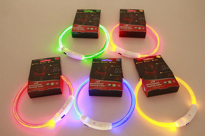 Pet USB Rechargeable LED Safety Glowing Collar