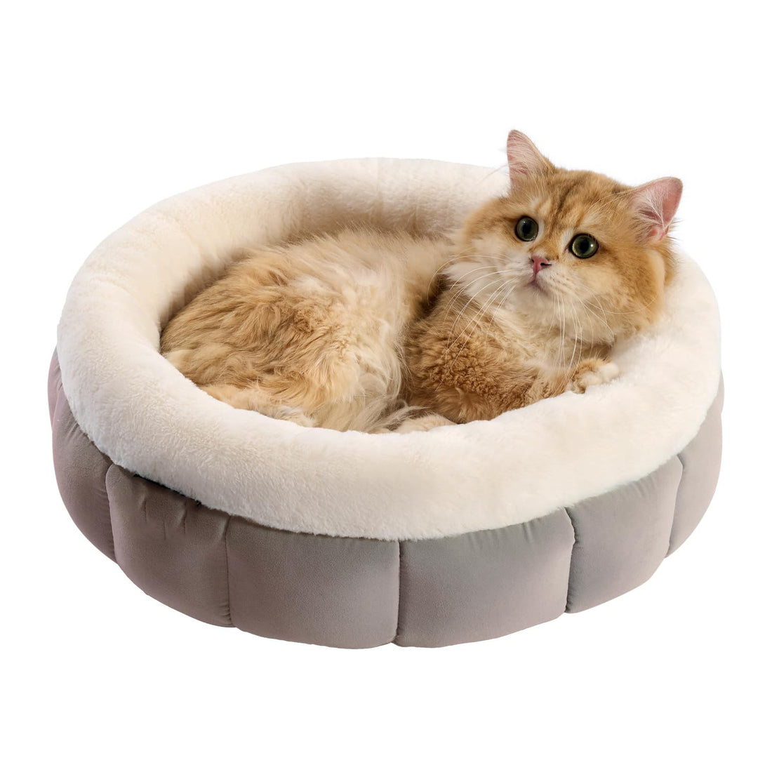 Round Donut Pet Bed Washable Anti-Slip Small Bed