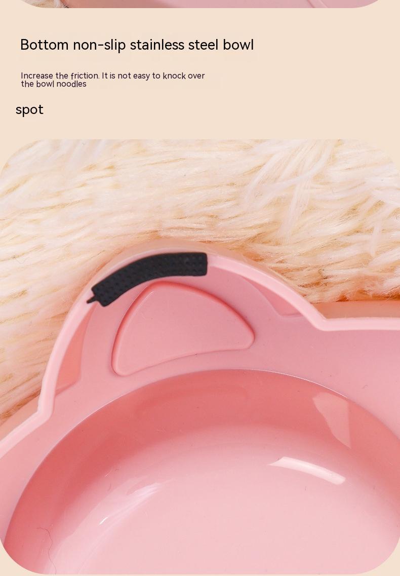 Pet Food and Water Feeding Bowl