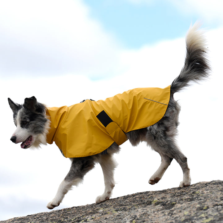 Waterproof Windproof Pet Shell Jacket
