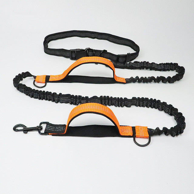 Adjustable Pet Harness and Jogging Leash