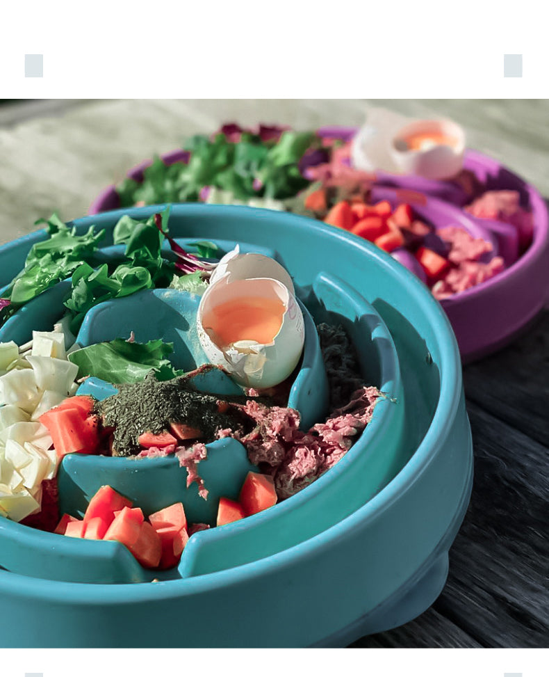 Slow-Feeding Anti-Choke Pet Bowl