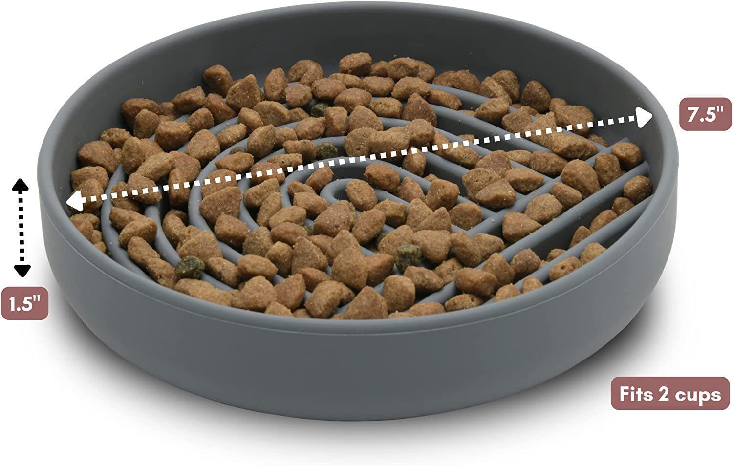 Slow Feed Fashionable Pet Food Bowl
